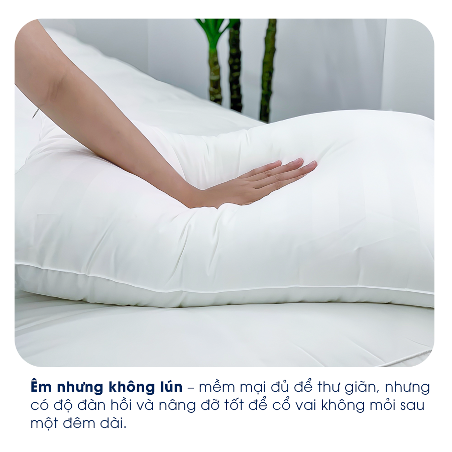Lullaby bedding | Ruột gối nằm | gối nằm | Gối nằm microfiber | ruột gối lông vũ nhân tạo