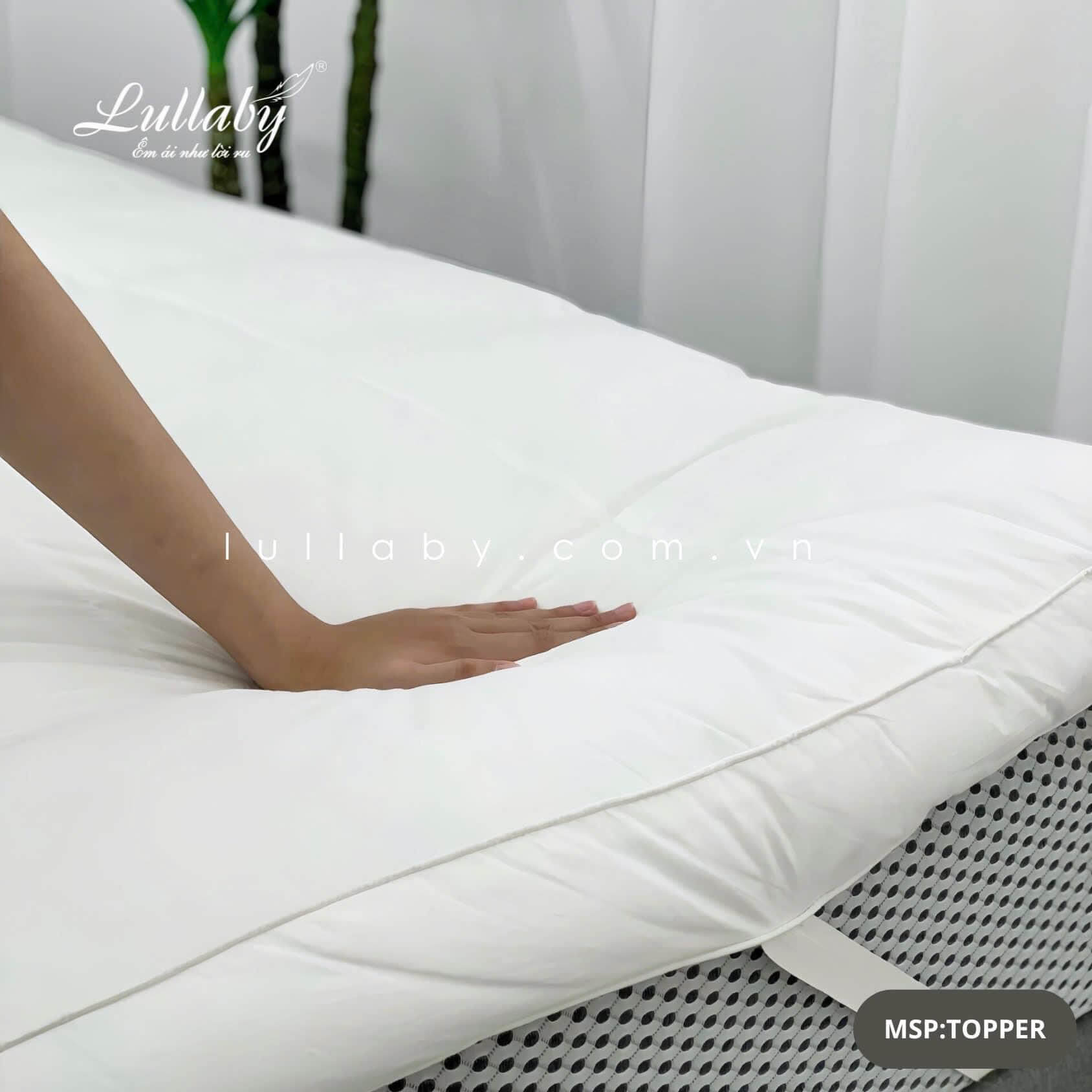 Ruột chăn Microfiber cao cấp - Lullaby Bedding