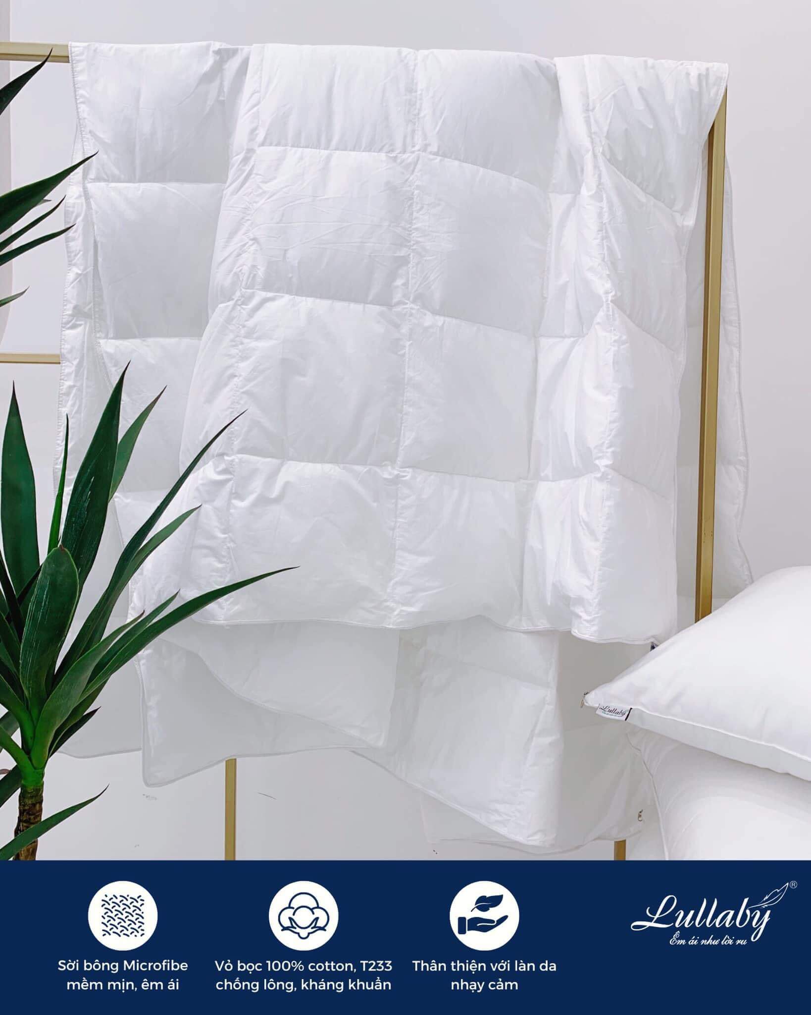 Ruột chăn Microfiber cao cấp - Lullaby Bedding