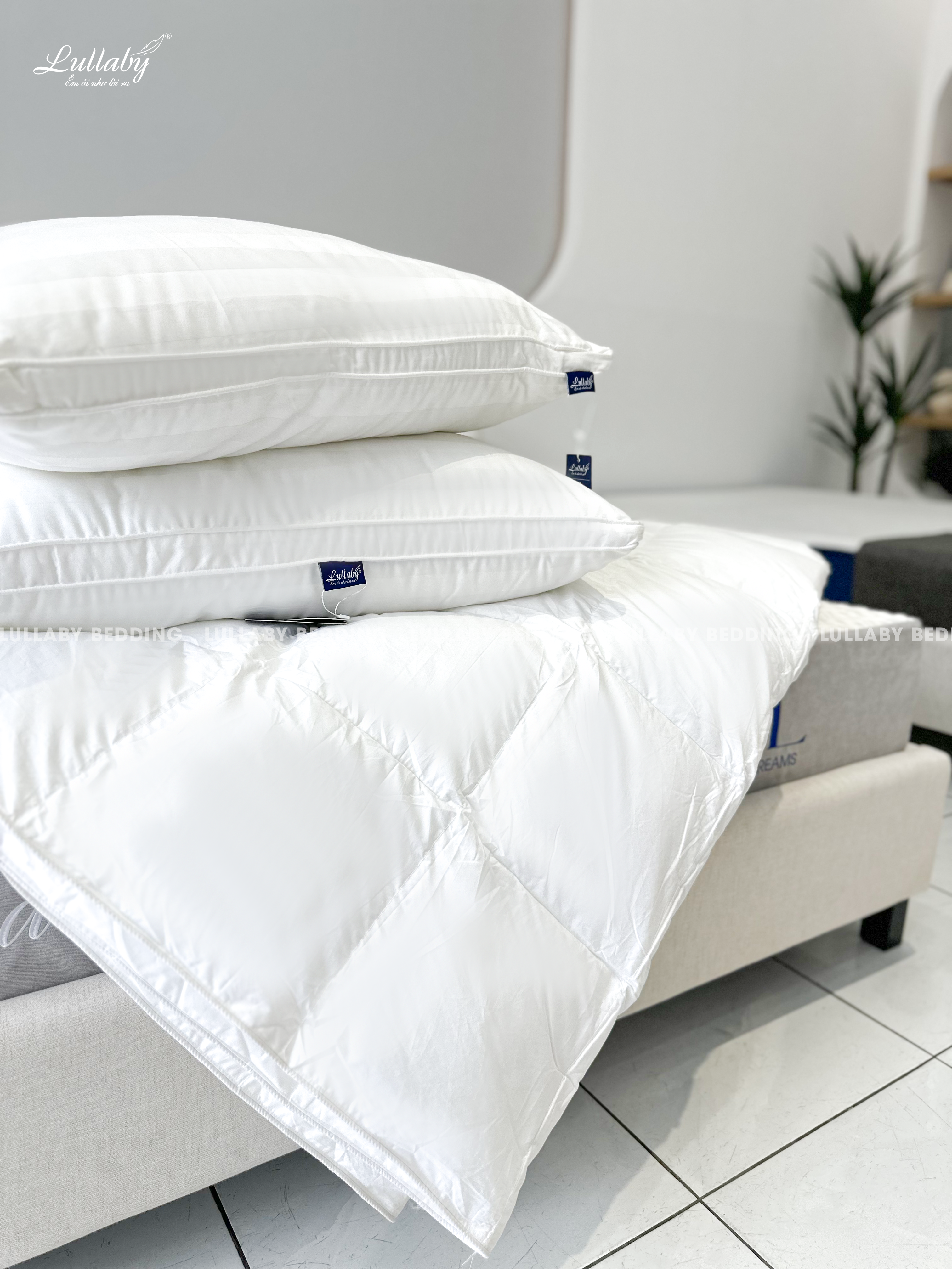 Ruột chăn Microfiber cao cấp - Lullaby Bedding
