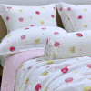 Bộ chăn ga gối Modal Hàn Quốc