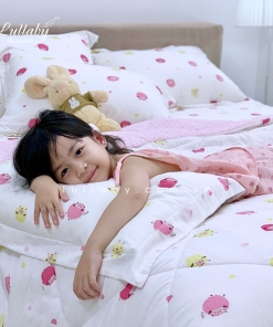 Bộ chăn ga gối Modal Hàn Quốc