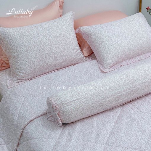 Bộ chăn ga gối Modal Hàn Quốc