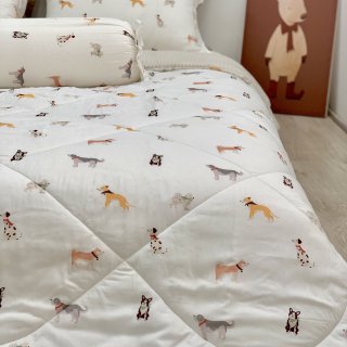 Bộ chăn ga gối Modal Hàn Quốc