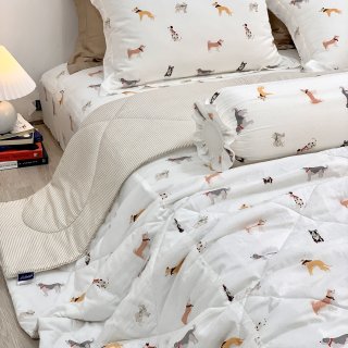 Bộ chăn ga gối Modal Hàn Quốc