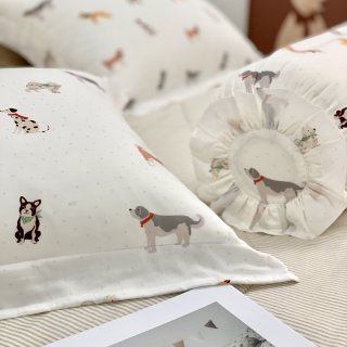 Bộ chăn ga gối Modal Hàn Quốc