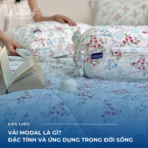 Vải Modal là gì? Nguồn gốc, đặc tính và ứng dụng trong đời sống | Lullaby Bedding