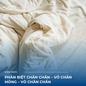 Phân biệt chăn chần – vỏ chăn mỏng – vỏ chăn chần: Đâu là lựa chọn phù hợp với bạn?
