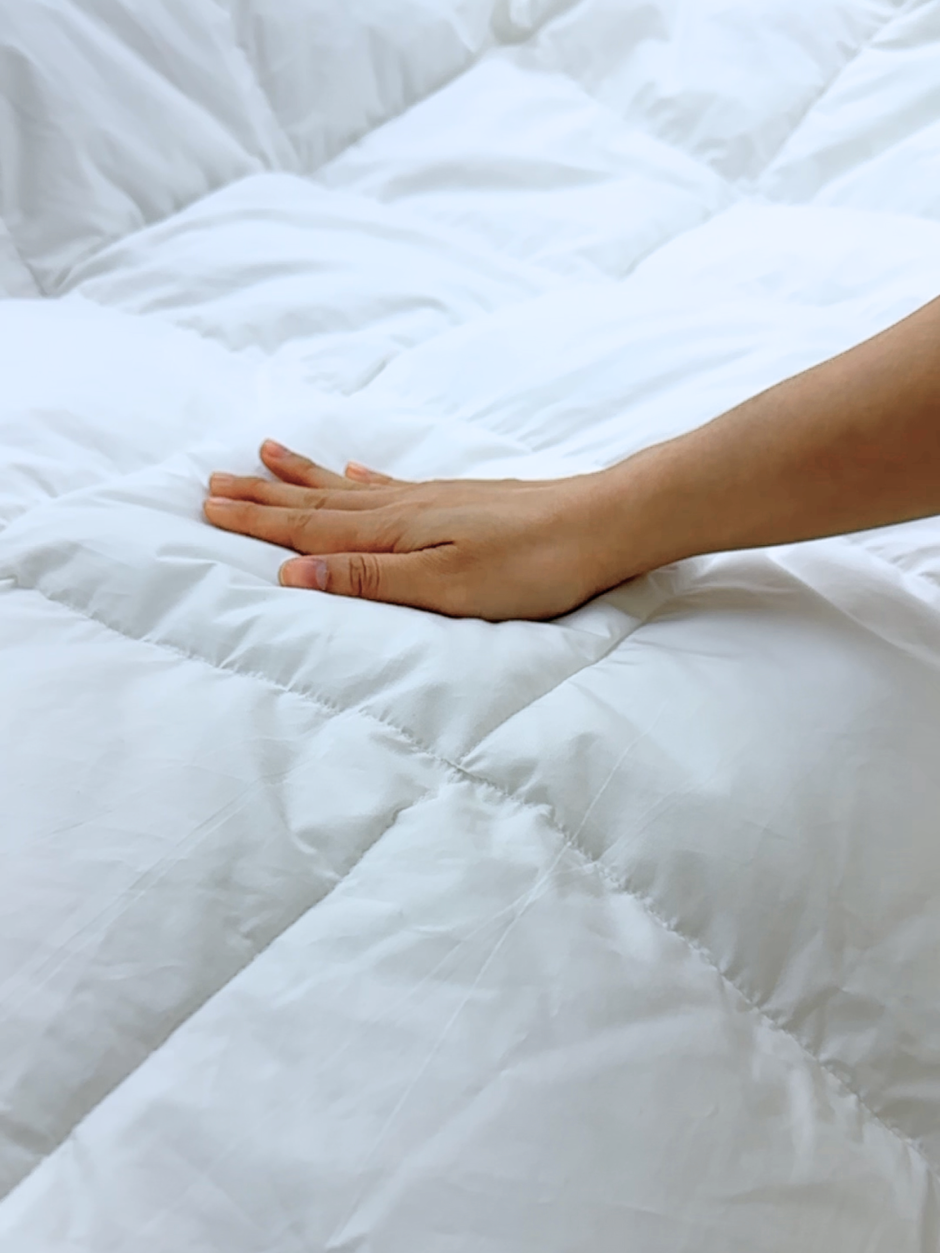 Ruột chăn cao cấp | Lullaby Bedding | Chăn chần bông