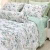 Bộ chăn ga gối Modal Hàn Quốc Lullaby Bedding