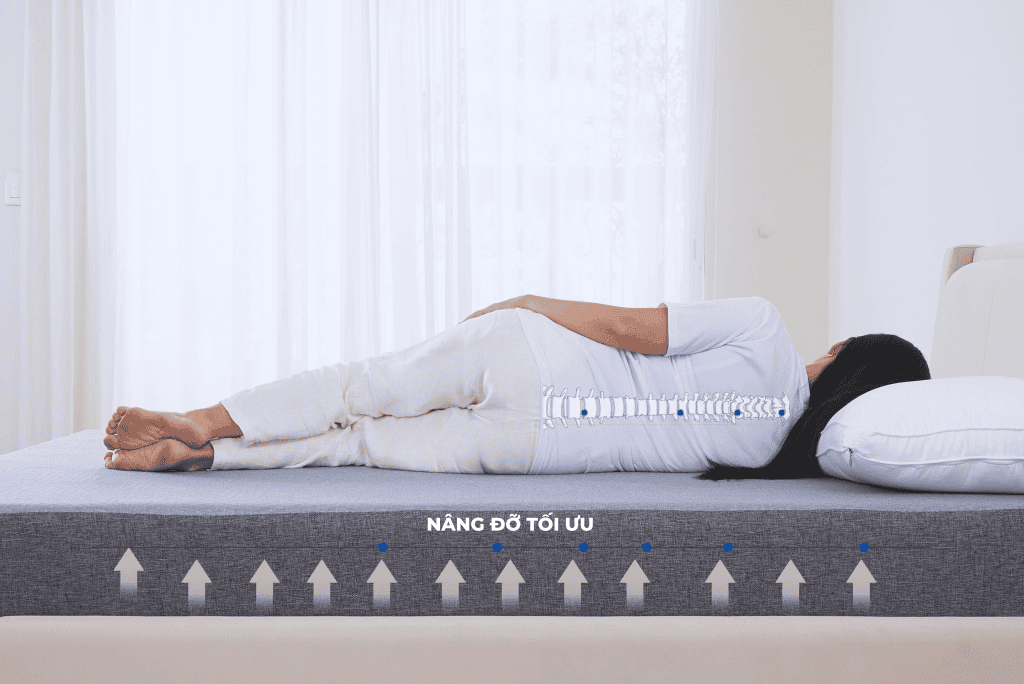 Lullaby Bedding | Nệm foam Core Align | nệm đau lưng | Nệm foam | Nệm cao cấp | Nệm Khánh Hoà | Nệm Hồ Chí Minh | Nệm chất lượng HCM