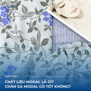 Chăn ga Modal: Chất liệu “điều hòa tự nhiên” cho giấc ngủ